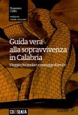 Guida vera alla sopravvivenza in Calabria
