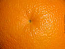 Febbraio, laboratorio arancione 