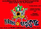 - Kobane resiste